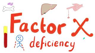 Factor X Deficiency  Hematology [upl. by Nosmoht]