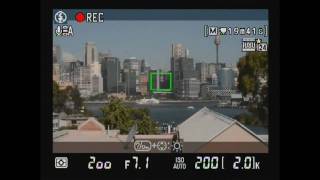 Nikon D7000 Movie Mode Analysed [upl. by Dahsra]