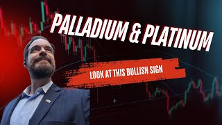 NEXT BIG THING in Precious Metals palladium platinum [upl. by Stevie]