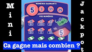 FDJ  Mini jackpot ca gagne mais combien [upl. by Kcajyllib]