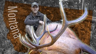 A public land grind Bow hunting elk Eastmans Hunting TV [upl. by Saoj]