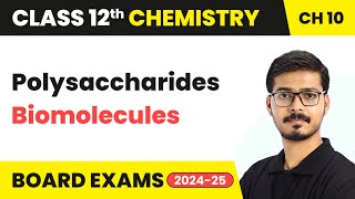 Polysaccharides  Biomolecules  Class 12 Chemistry Chapter 10  CBSE 202425 [upl. by Aititil403]