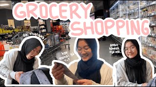 GROCERY SHOPPING WITH ME [upl. by Oaoj]