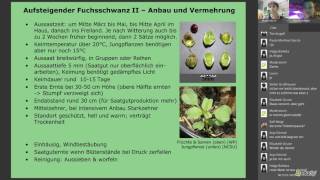 Webinar Alte and neue Nutzpflanzen Teil 1 mit Eike Wulfmeyer [upl. by Deadman962]