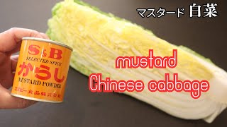 【白菜消費】白菜のからし漬け！甘辛で美味しい簡単＆時短【vegan cooking】how to make mustard pickled chinese cabbage [upl. by Arther]