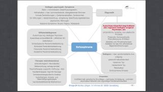 Heilpraktiker für Psychotherapie Schizophrenie [upl. by Lorola]