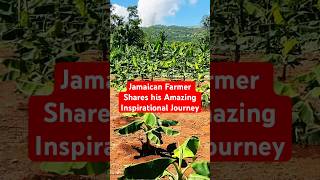 🧑‍🌾AMAZING FARM TOUR Humble JAMAICAN Farmer Shares his LIFE STORY💪🏾 [upl. by Raycher]