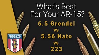 65 Grendel vs 556 vs 223 Whats Best For Your AR15 [upl. by Seldun]