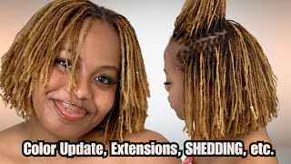 20 Months Loc’d w DETAILED VISUALS  Postpartum Shedding Color update Adding Extensions etc [upl. by Crescint]