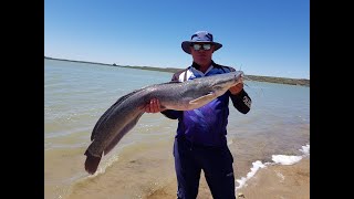 Carp fishing at Spitskop Dam in the Northern Cape [upl. by Lyrpa]