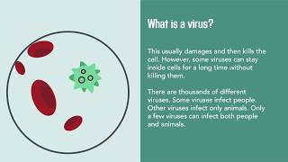 Viral Infections Causes Diagnosis Prevention and Treatment  Merck Manual Consumer Version [upl. by Harima]