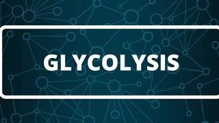 Biochemistry  Glycolysis part 1 كيمياء حيوية كيفية تحلل السكر [upl. by Netsuj906]