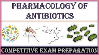 Top Questions  Antibiotics [upl. by Eldwun368]