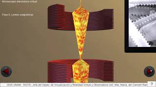 PRINCIPIOS BÁSICOS DE MICROSCOPÍA ELECTRÓNICA DE BARRIDO [upl. by Alec]