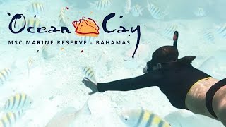 We Snorkeled at MSC Ocean Cay and it was amazing [upl. by Ezaria846]