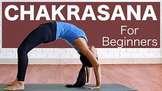 Chakrasana for Beginners  Urdhva Dhanurasana  Wheel pose l Preperation  Yogbela [upl. by Charbonnier]