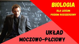 Układ moczowopłciowy Biologia rozszerzona do matury matura [upl. by Rochemont]