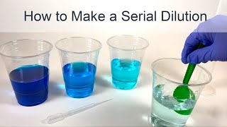 How to Make a Serial Dilution [upl. by Hannus794]