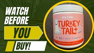 Review of Turkey Tail Mushroom for Dogs [upl. by Yssej286]