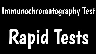 Rapid Tests  Immunochromatography Test  Lateral Flow Assay [upl. by Yendirb]