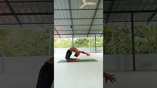 How to do kapotasana Ashtanga vinyasa intermediate seriesyoga yogareel reelmotivation yogis [upl. by Helenka539]