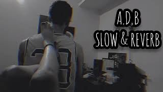 ADB  RayoNix Ke Raag  Slow  Reverb [upl. by Azenav862]