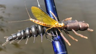 Slammin Smallies During The Mayfly Hatch [upl. by Oniuqa]