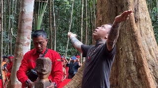 Panglima Jilah membuka tempat Keramat Temenggung Simpi di Badau iban dayak [upl. by Keemahs]