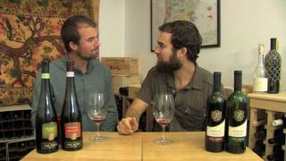 The Wine Brothers  Value wines from Piedmont [upl. by Anelrihs]