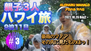 【ハワイ旅】親子３人 ハワイ旅 ３年ぶり９泊１１日 土砂降りのマノアの滝編 マノアトレイル トレッキング ３ [upl. by Ailedua919]