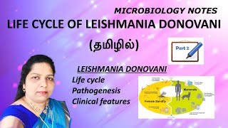 Life cycle of Leishmania donovani  Pathogenesis  clinical features  sandfly  Tamil [upl. by Estey]