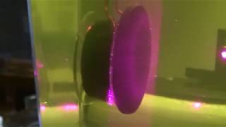 Electromagnet in TFL Coiled In Oil [upl. by Elleryt167]