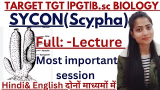 UPTGTPGTBSC BIOLOGYSYCONfull lacture uptgtbiologytopicwiseclasesBy priyal bhati [upl. by Eillor133]