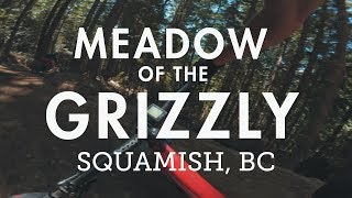 Mountain Biking quotMeadow of the Grizzlyquot  A fantastic new flow trail in Squamish BC [upl. by Blainey925]