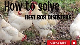 Chicken Coops and Nesting Boxes DIY chicken farmlife funnyanimals diy subscribe pets [upl. by Aneehsak]