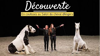 DECOUVERTE En coulisses au salon du cheval dAngers [upl. by Enilorac]