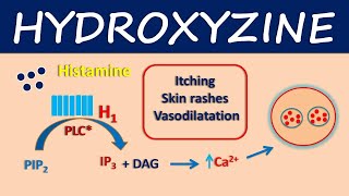 Hydroxyzine  How it works in pruritus and urticaria [upl. by Erdda]