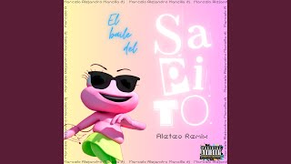 El Baile del Sapito feat Cartoon Studio Aleteo Remix [upl. by Ayote]