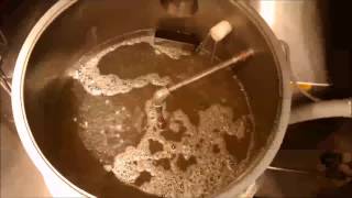 Malting Barley  Steeping [upl. by Alica]