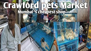 Unbelievable Secrets of Craford Pets Market Mumbai Crawford pet market mumbai  parrot [upl. by Euqinorev343]