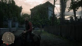 BLACK ARABIAN ELITE HORSE  FREE  Red Dead Redemption 2  St DENIS [upl. by Fabi]