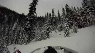 Backcountry Snowmobiling 2011 [upl. by Aicilram]