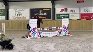 Nice jumping Round Piewi Dream Quiwi Dream x Harley VDL [upl. by Urson727]