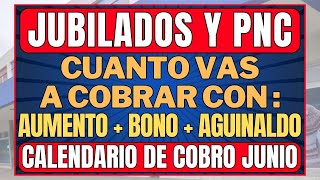 ✨VAS A COBRAR de MINIMA 💲380000 en Junio 2024  FECHAS DE PAGO JUNIO 👉🏻 JUBILADOS y PENSIONADOS PNC [upl. by Saibot165]