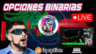 🔴TRADING OPCIONES BINARIAS🔴 218 USD ESTRATEGIA TIBURÓN SESIÓN COPY TRADING  IQ OPTION [upl. by Mines331]