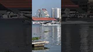 Seaplane in Kochi kerala tourism seaplane kochi cochin keralatourism [upl. by Nikola]