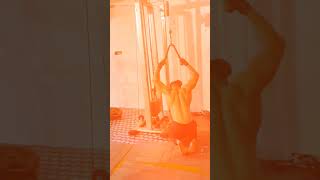 Back workout shortvideo viralvideo gymworkout exercise workout gym [upl. by Kan]