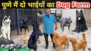 🔥पुणे मै दो भाईयों का सपनों का Dog Farm  AYRO Farms  The Barking Mansion Pune sandhuagrofarm [upl. by Phebe845]