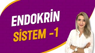 Endokrin Sistem  1  Seda Hoca Biyoloji  3 Ders  sedahocabiyoloji ayt2023 [upl. by Gnil]