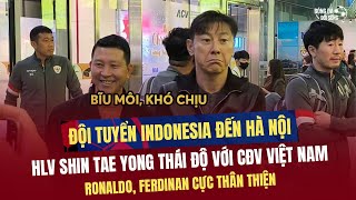 HLV Shin Tae Yong bĩu môi PHỚT LỜ CĐV Việt Nam xin chụp hình Ronaldo Ferdinan tươi cười AFF Cup [upl. by Janenna]